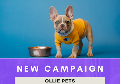 New Campaign:  Ollie Pets