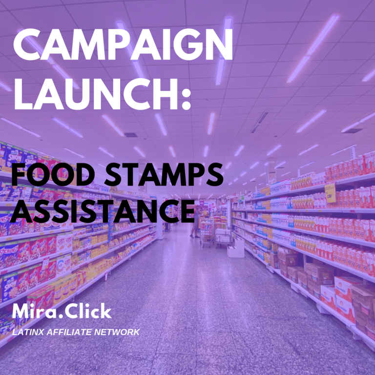 New Campaign Food Stamps Assistance LunaSol Media